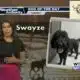 Dog Walk Forecast for June 11th - Swayze