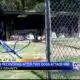Man recovering after dog attack in Clay County
