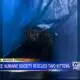 Tupelo Lee Humane Society saves kittens from storm drain