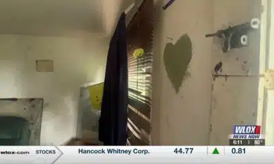 Jackson County Code Enforcement tackling menace properties in Virginia City area of Vancleave