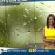 News 11 at 10PM_Weather 6/17/24