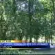 Clay County works to create new ordinance after dog attack