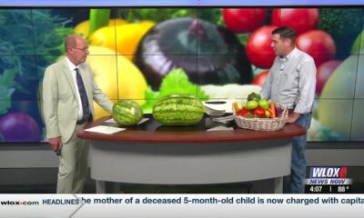 State of Mississippi launches Farmer's Market Initiative