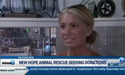 New Hope Animal Shelter looking for more help, funding