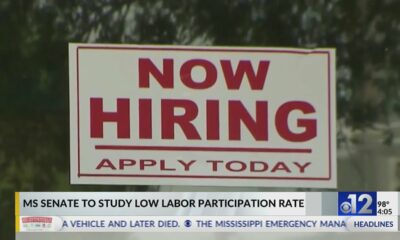 Mississippi Senate to study low labor participation rate