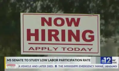 Mississippi Senate to study low labor participation rate