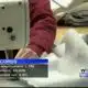 Mississippi setting historic employment records