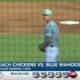 SHUCKERS BASEBALL: Beach Chickens vs. Blue Wahoos (06/25/24)