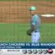 SHUCKERS BASEBALL: Beach Chickens vs. Blue Wahoos (06/25/24)
