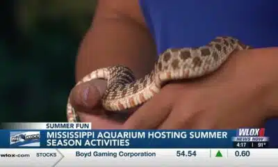 Mississippi Aquarium hosting summer season activities