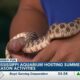 Mississippi Aquarium hosting summer season activities