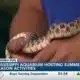 Mississippi Aquarium hosting summer season activities