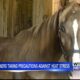 Tips for horse owners during extreme heat