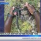 Greenville firefighters save kitten after house fire