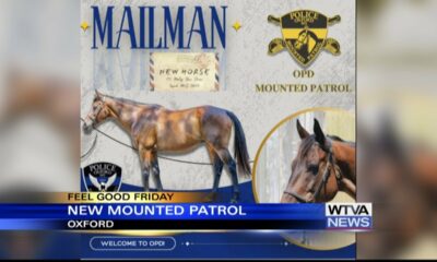 Oxford Police welcomes new horse into mounted patrol