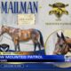 Oxford Police welcomes new horse into mounted patrol