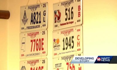 License plate renewal stalled by glitch
