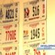 License plate renewal stalled by glitch
