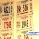 License plate renewal stalled by glitch