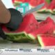 Lucedale’s 11th annual Watermelon Games honor county’s cash crop