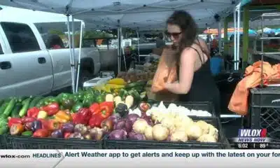 Ocean Springs Fresh Market sees brisk business despite heat