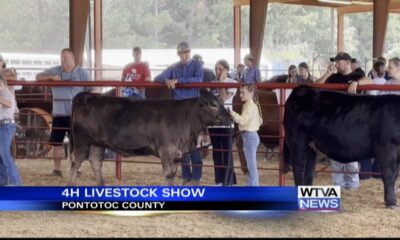 Pontotoc County 4-H holds beef show