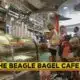 The Beagle Bagel Cafe