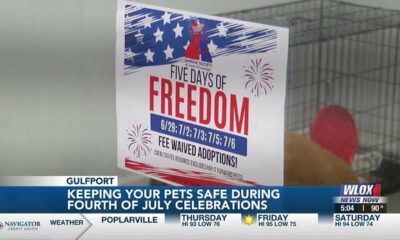 Humane Society of South Mississippi preparing for ‘massive influx’ of stray animals following Fou...