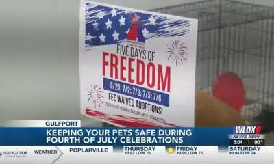 Humane Society of South Mississippi preparing for ‘massive influx’ of stray animals following Fou...