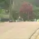 Lake Trace Circle is the site of Jacksons latest homicide