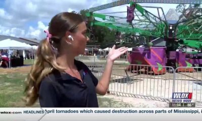 LIVE: 40th Annual OLG Crab Fest in full swing
