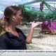 LIVE: 40th Annual OLG Crab Fest in full swing