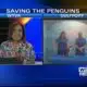 Interview: Mississippi Aquarium hosting fundraiser for penguin preservation