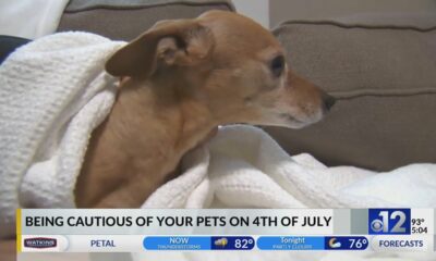 Every dog has its day, but it’s not the Fourth of July