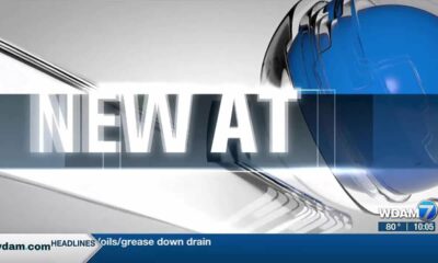 Hattiesburg woman dies in single-vehicle accident in Lamar County