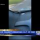 Shocking Moment: Snake hitched a ride on a Monroe County woman's vehicle