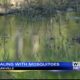 Mosquitoes are summertime nuisance and can transmit diseases