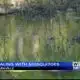 Mosquitoes are summertime nuisance and can transmit diseases