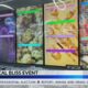 Botanical Bliss event held in Jackson