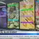 Botanical Bliss event held in Jackson