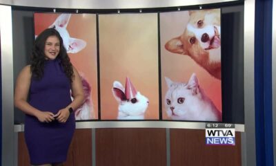 Tupelo Lee Humane Society is participating in the Empty the Shelters event