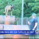 The bond between a K9 officer and dog is powerful and takes a lot of work to achieve