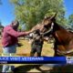 Veterans visit Oxford Police horses