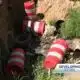 Huge hole with plant growth, barrels mars Jackson street