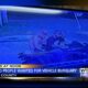 Information wanted in connection with vehicle battery theft in Lee County