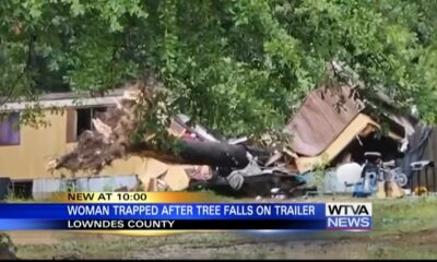 Pregnant woman rescued after tree falls on her home