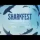 Sharkfest 2024
