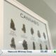 What do downtown Biloxi businesses think about a possible cannabis facility ban?