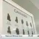 What do downtown Biloxi businesses think about a possible cannabis facility ban?