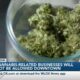 Biloxi City Council votes against cannabis-related businesses in downtown area